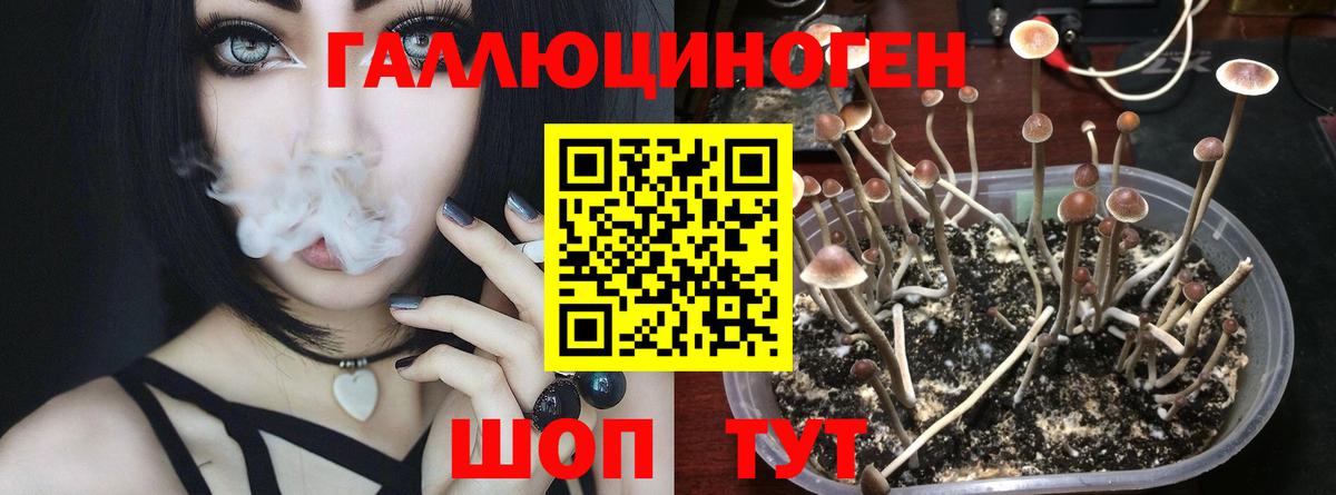 Галлюциногенные грибы Psilocybe  Вход с VPN  Нефтеюганск 